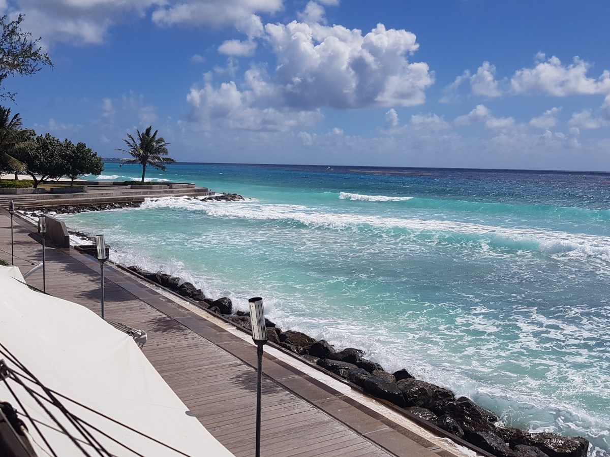 Strategic Growth: Leveraging Global Markets for International Consulting&nbsp;Firm