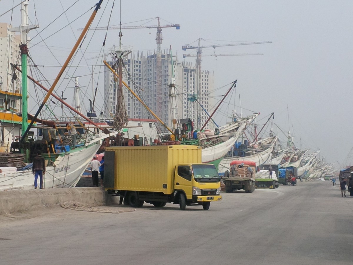 Trade and Investment Support  / Capacity Building  (Asia Pacific&nbsp;Region)